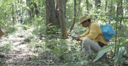株式会社 清水製粉工場の画像2枚目