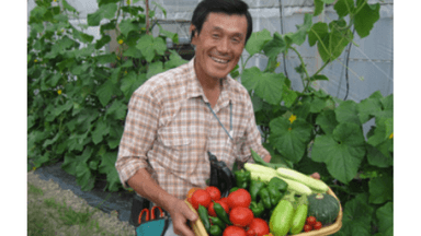 有限会社 有田園芸農場の画像