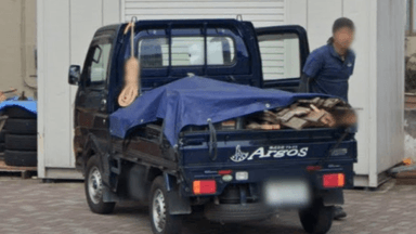 株式会社 Argosの画像