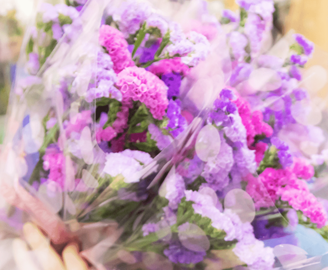 株式会社クレバーの画像