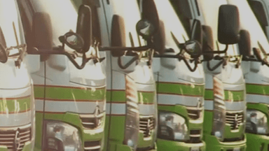 株式会社フレッシュ青果の画像