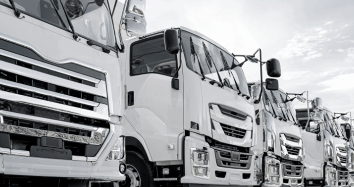 株式会社ラオウの画像3枚目