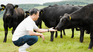 有限会社青山商店の画像