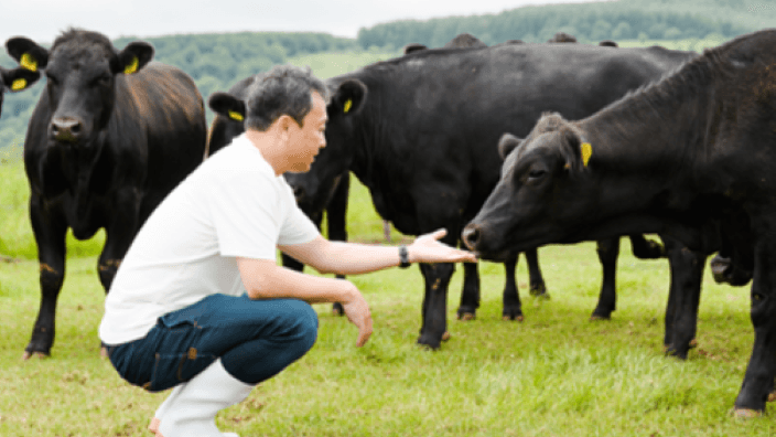 有限会社青山商店の画像