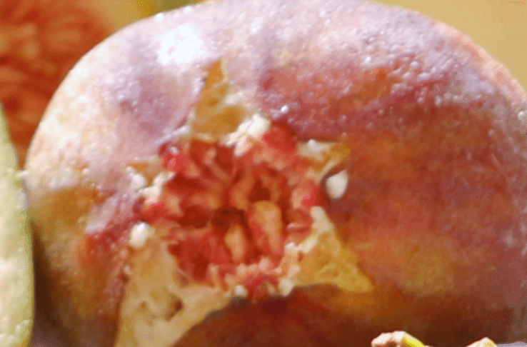 神果神戸青果 株式会社の画像