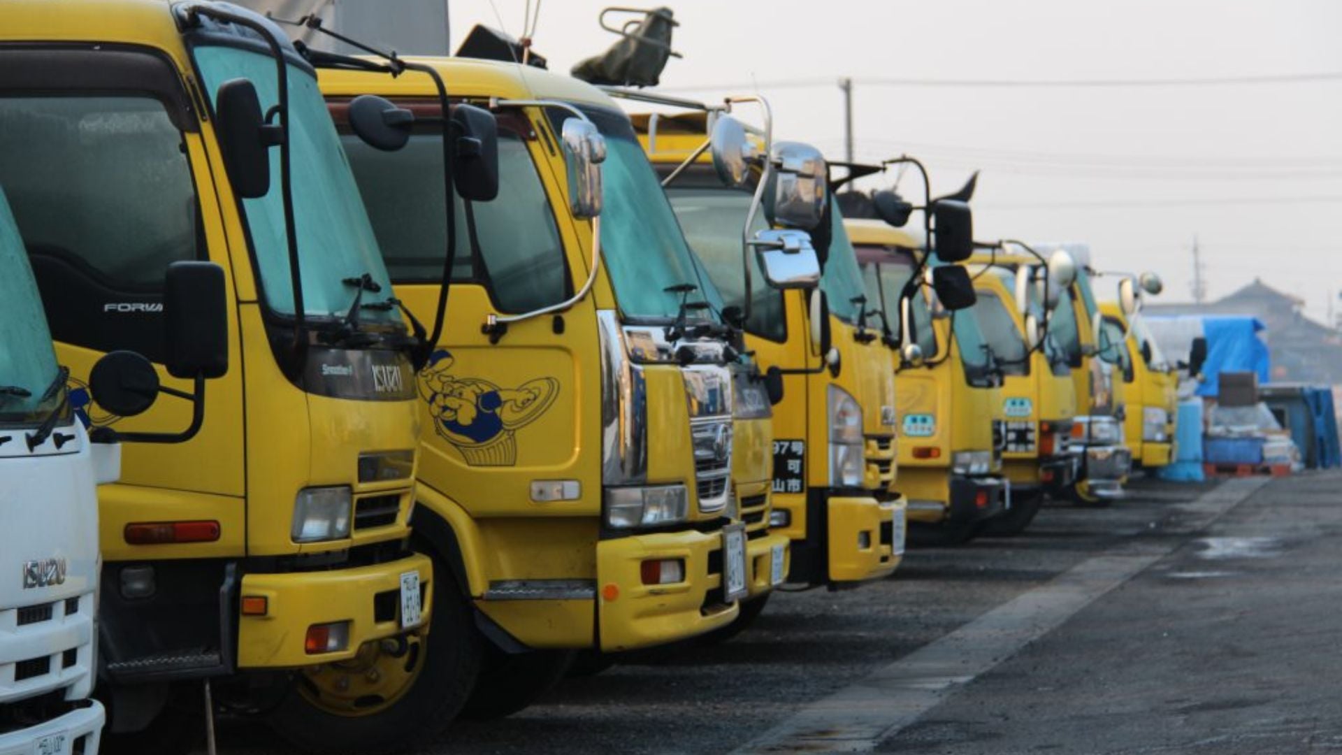 護美飼糧株式会社の画像3枚目