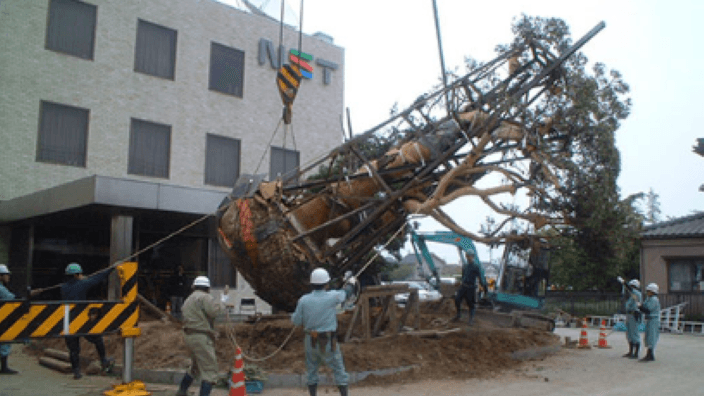 株式会社高橋植木の画像2枚目