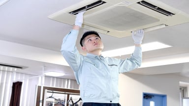 新生商事株式会社の画像