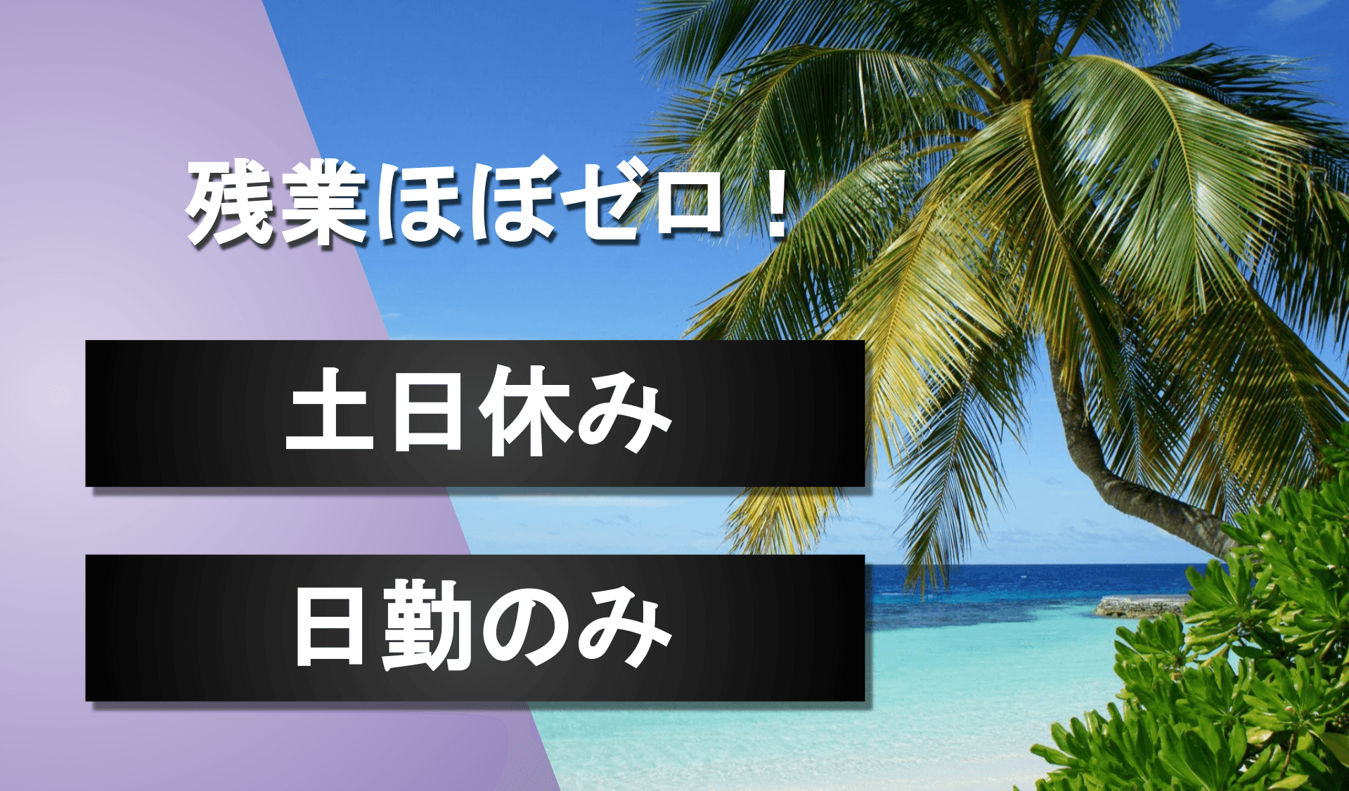 株式会社 ハヤチネファスナーの画像