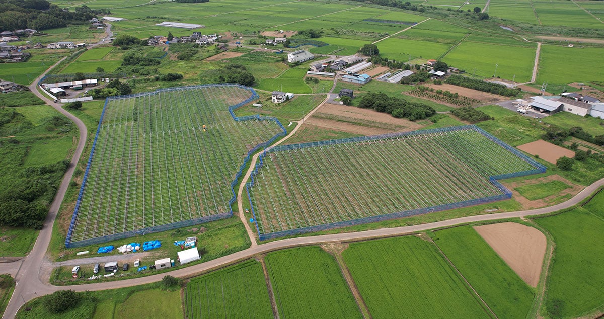 株式会社ファーマインド 茨城農園の画像4枚目