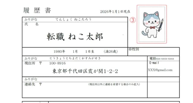 職歴欄が多い履歴書のサンプル 写真